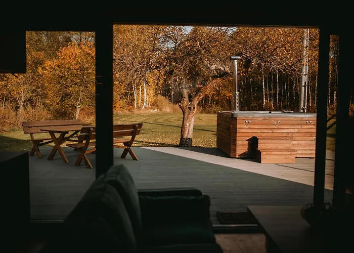 Nowoczesny Drewniany Domek Chill House
